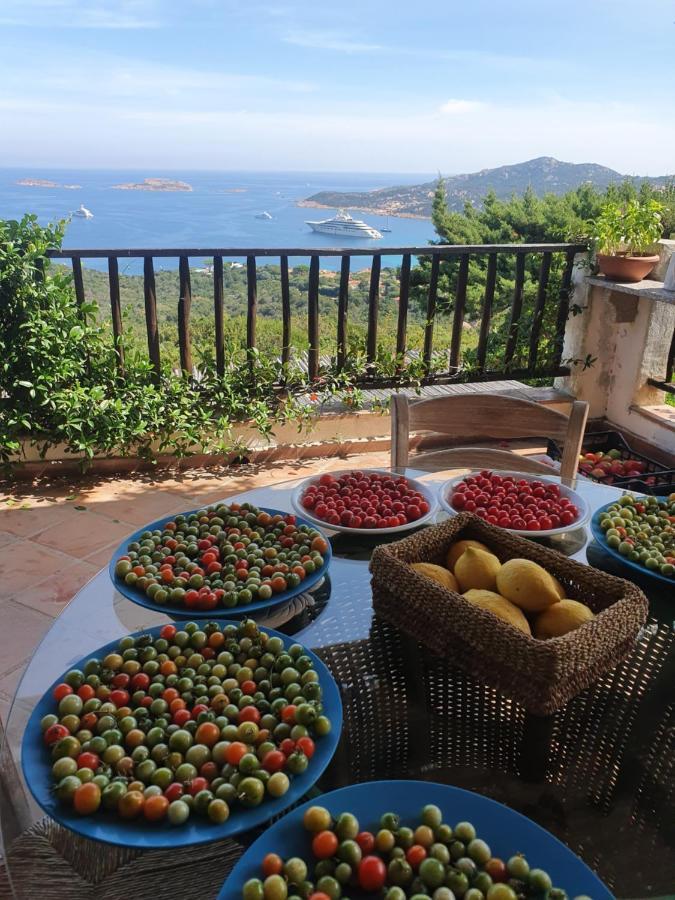 Sea view villa Pantogia Porto Cervo Exteriör bild