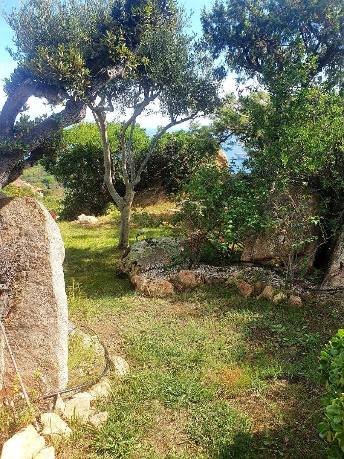 Sea view villa Pantogia Porto Cervo Exteriör bild